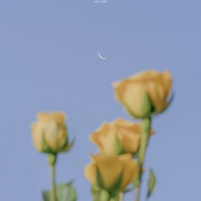 天谕战歌手游官方