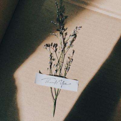 莽荒记手游满v公益服下载